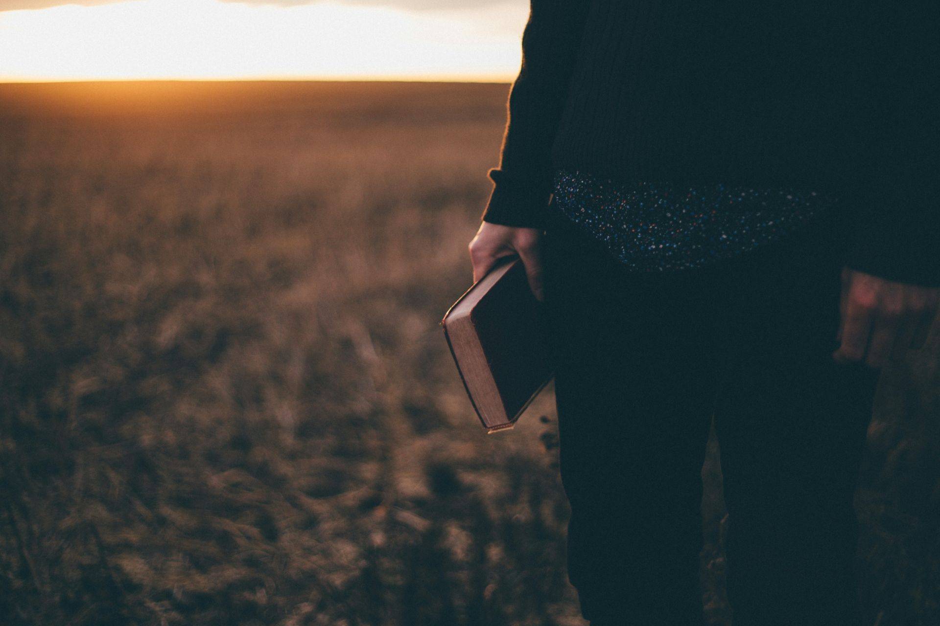 Person mit Bibel in der Hand auf einem Feld