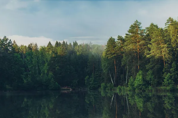 Quelle: Artyom Panfilov/Unsplash Gewässer umgeben von Wald