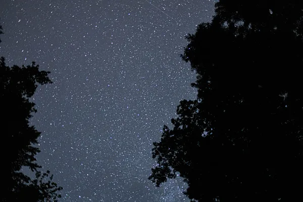 Blick in den Himmel bei Nacht