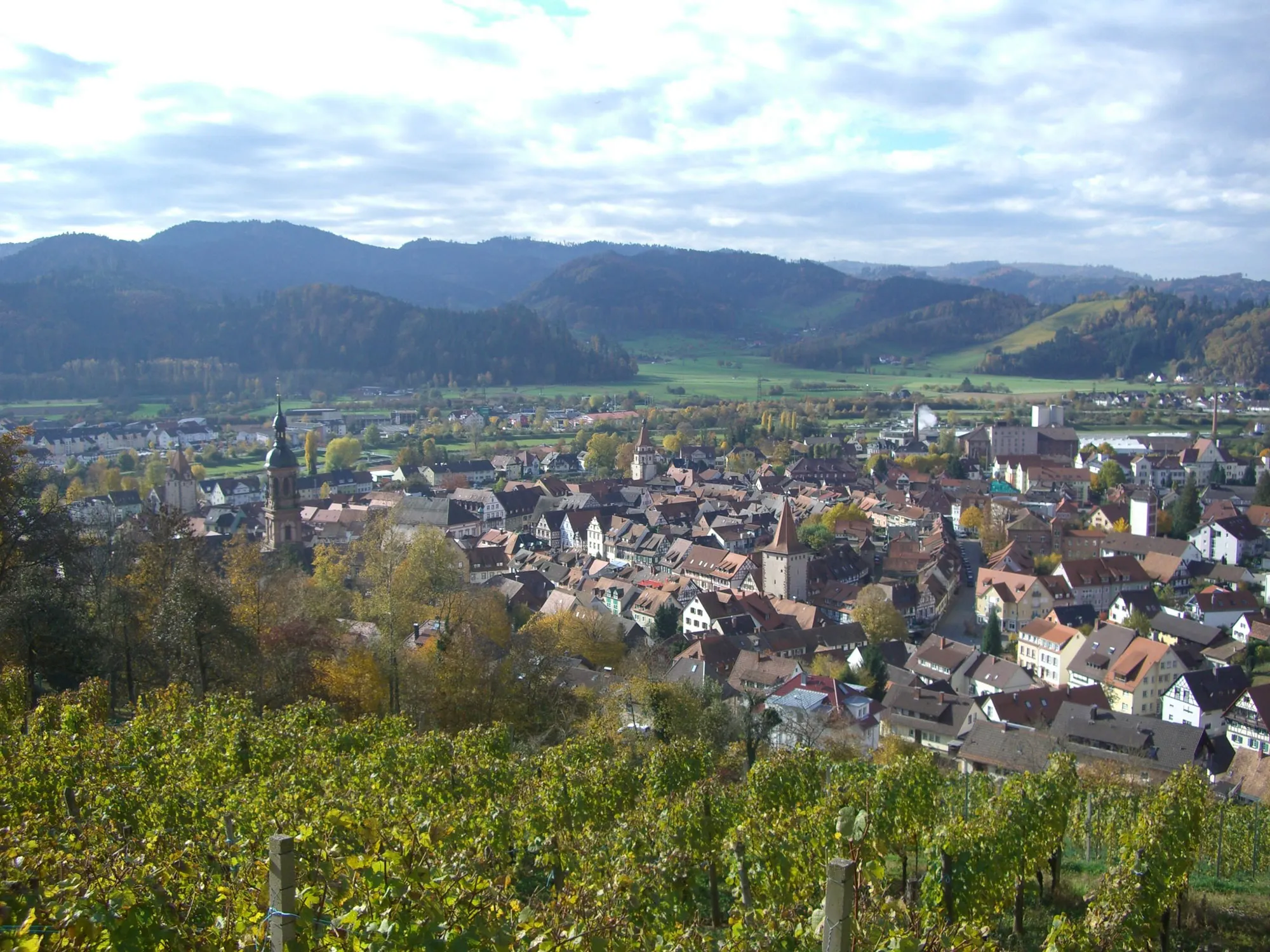 Blick auf die Stadt Gengenbach