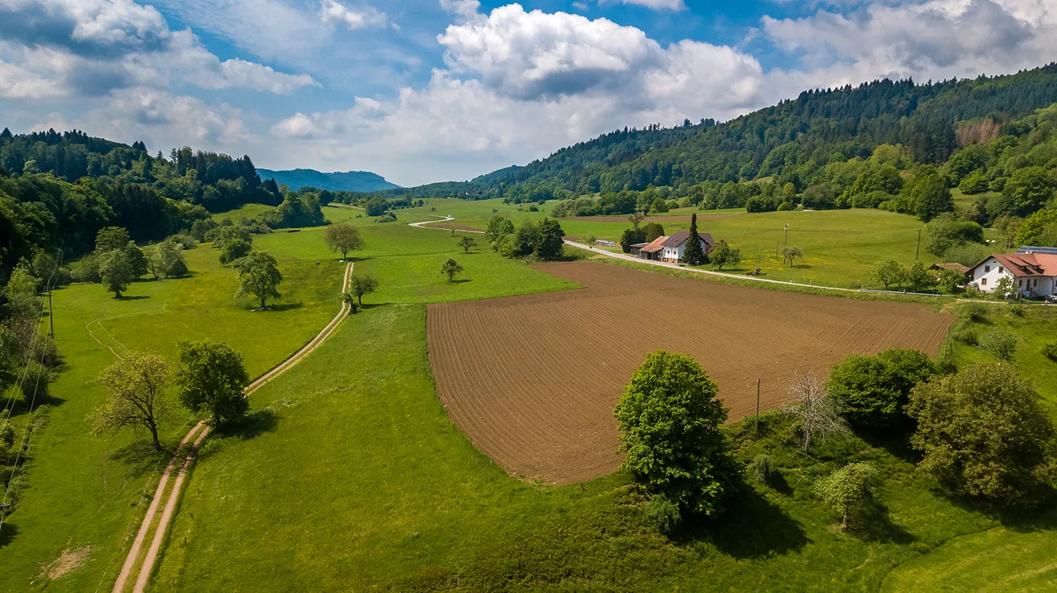 Das kleine Wiesental - Felder Bäume Hügel