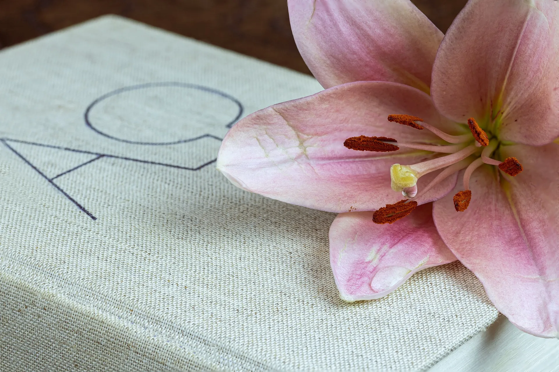 griechische Buchstaben alpha und omega