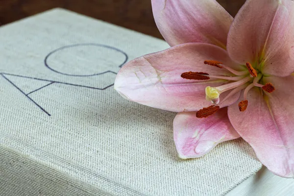 griechische Buchstaben alpha und omega