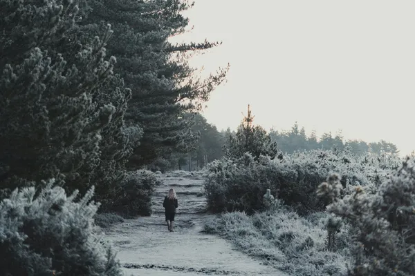 Person auf verschneitem Waldweg