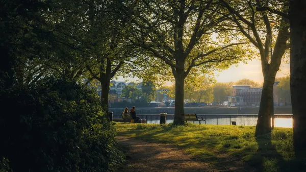 Baumallee mit Bänken