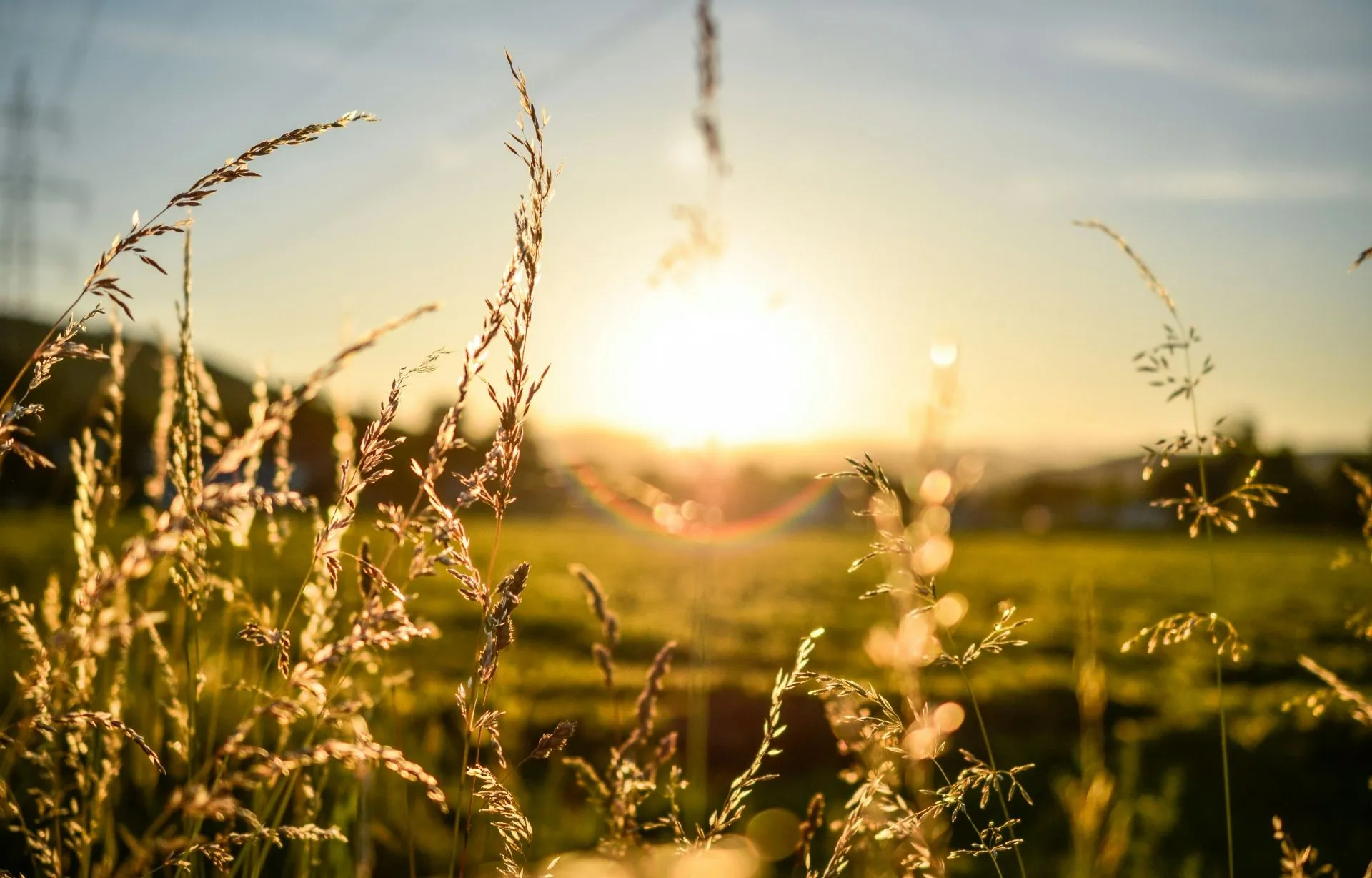 Feld bei Sonnenuntergang