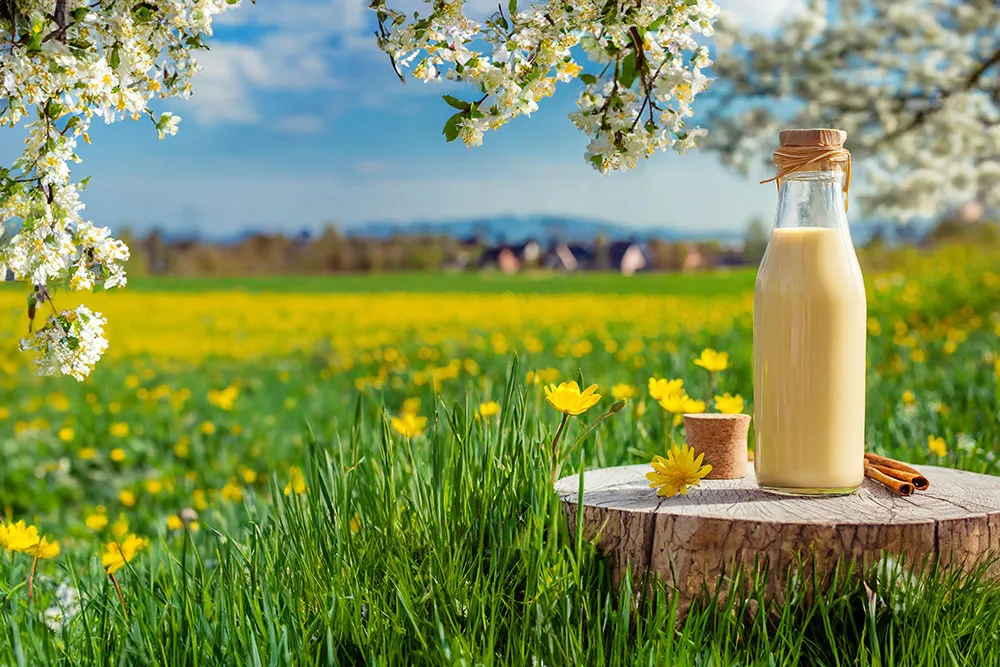 Eine gekaufte Flasche Eierlikör steht auf einem Tisch auf einer Frühlingswiese