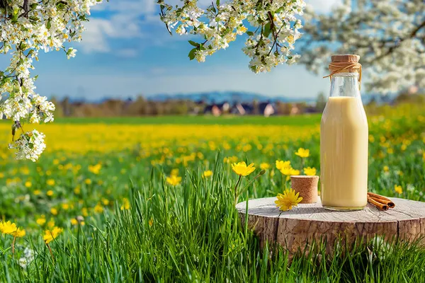 Eine gekaufte Flasche Eierlikör steht auf einem Tisch auf einer Frühlingswiese
