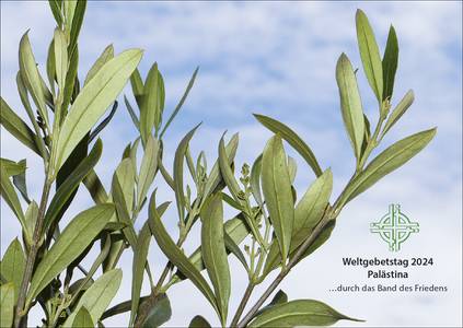 Motiv Weltgebetstag 2024 Olivenzweig