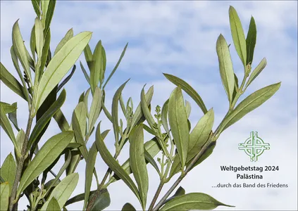 Motiv Weltgebetstag 2024 Olivenzweig