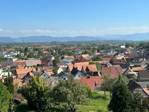 Blick über Bahlingen am Kaiserstuhl