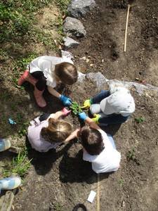 Kartoffelaktion 2026