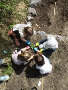 Kartoffelaktion 2026