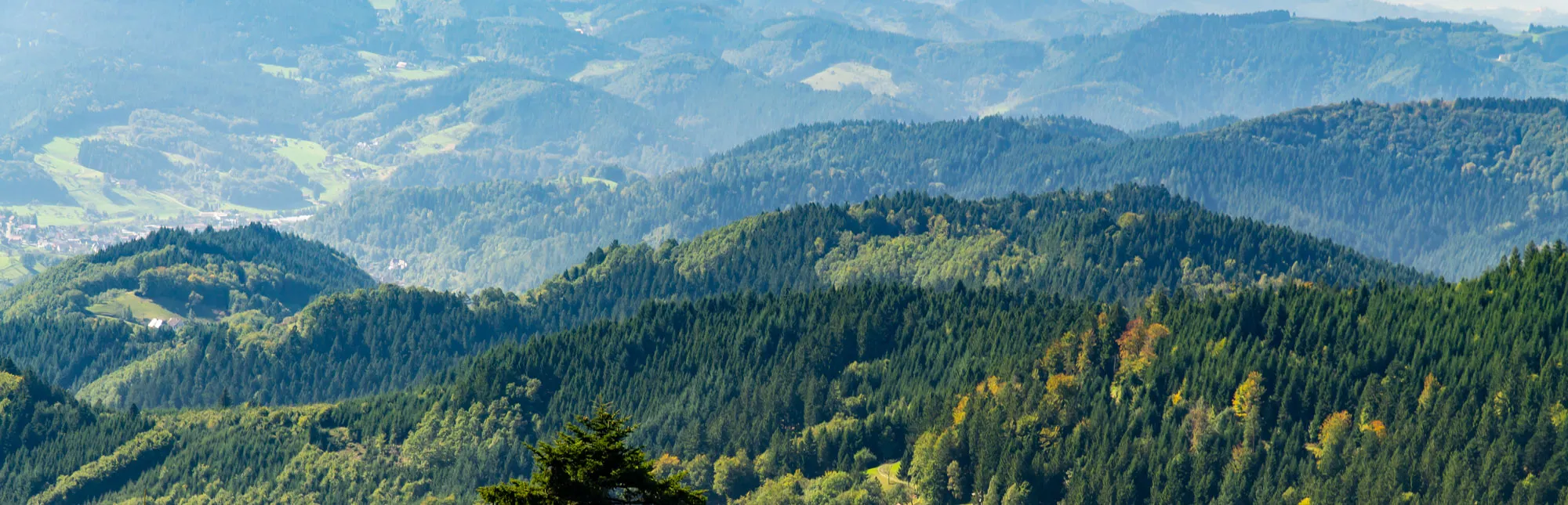 Quelle: Birgit_Reitz-Hofmann – stock.adobe.com Panorama-Blick über den Schwarzwald