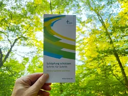 Quelle: EKIBA Flyer, gehalten vor Baumkronen