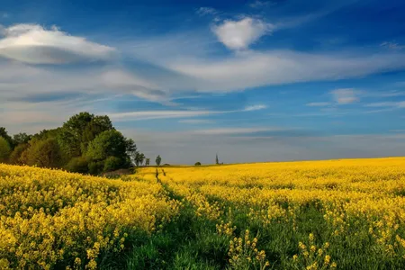Quelle: Pixabay, Sebastian Nikiel Rapsfelder und blauer Himmel, im Hintergrund das Dorf Wilamowice