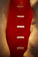 Ausschnitt vom Raum der Stille mit rote Wand und Lampen