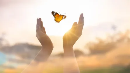 2 Hände. wie eine Schale gehaltende schauen oben aus gleblichen Wolken heraus und lassen einen Schmetterling fielegen