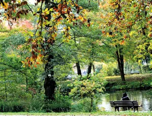 Wald, Wildnis, Fluss, Parkbank am Rande des Wassers