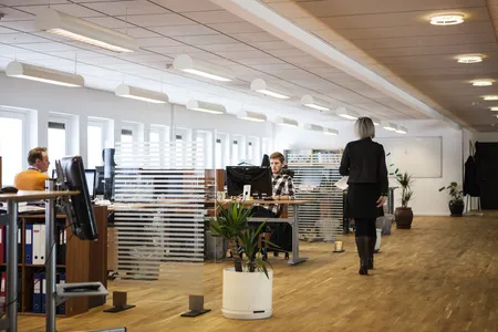 Büro, Schreibtische, Pflanzen