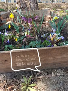 Bild aus Gemeinschaftsgarten Paradieschen