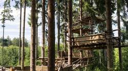 Baumhaus vom Baumhauscamp