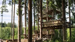 Baumhaus vom Baumhauscamp