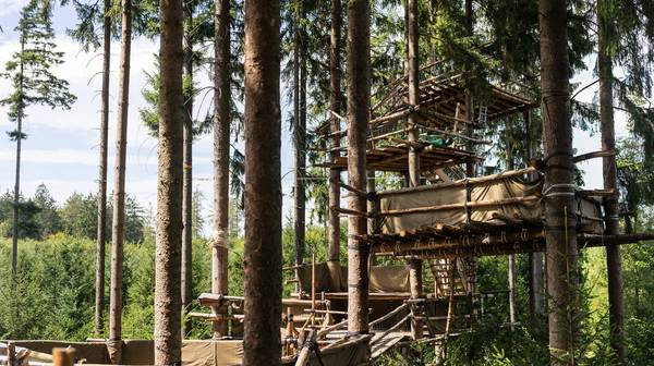 Baumhaus vom Baumhauscamp