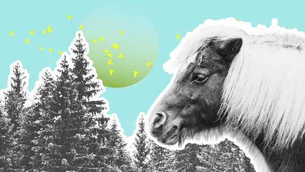 Gründergeist Roadtrip Wilde Kirche