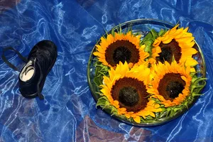 Auschnitt aus Bodenbild