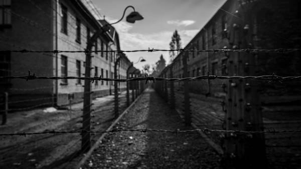 Blick durch Stacheldraht entlang zwei Baracken in Auschwitz