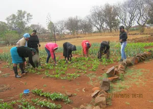 Menschen die auf dem Feld arbeiten