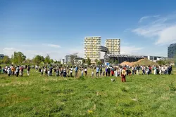 Quelle: CVJM Mannheim Eine große Gruppe von Menschen feiert auf einer weiten, grünen Wiese