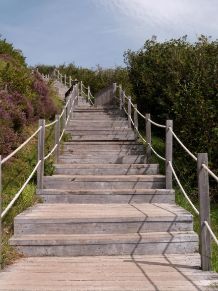 Ein Weg mit Stufen in Richtung Meer, rechts und links von Hecken eingerahmt.