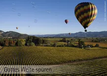 Mehrere Heißluftballon fiegen über eine Landschaft. Im Vordergrund Reben links etwa inder Mitte Bäume dahinter kleiner Berg. Rechts am Horizon eine Bergkette. Am voderen Rand der Text: "Gottes Weite Spüren"