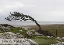 In der oberen Hälfte des Bildes der Himmel und das Meer. In der unteren Hälfterechtseine Grünfläche die nach links auf einen Hügel mit Felssteinen zuläuft. Am Rande des Hügels eine Baum, der sich vom Sturm nach links neigt. Darunter die Worte: " Den Rücken stärken"
