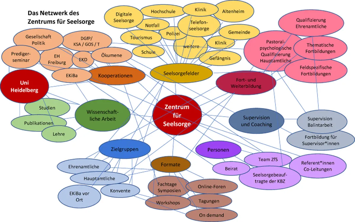 farbiges Organigramm - Netzwerk ZfS