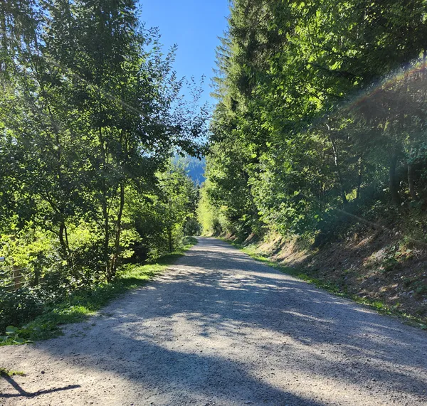 Waldweg