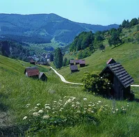 Heuhütten im Schwarzwald