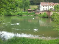 Der Fluss Tauber in Gamburg