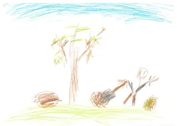 Quelle: KG Heidelsheim 2025_Heidelsheim_Obstbäume-4.jpg