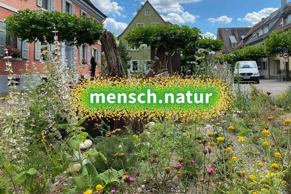 "mensch.natur" Logo mit Blumenbeet im Hintergrund