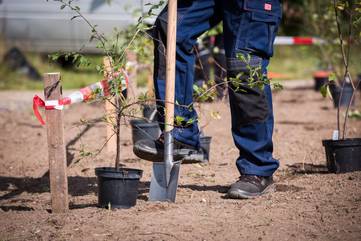 Schaufel wird in die Erde eingestampft