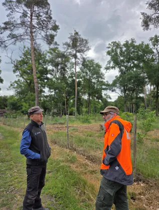 Förster Frank Philipp (Stiftung Schönau) und Umweltplaner Stephan Reff (Landschaftsagentur Plus) inspizieren die jungen Bäume
