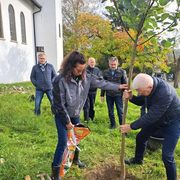 Baum pflanzen an der Kirche Minseln
