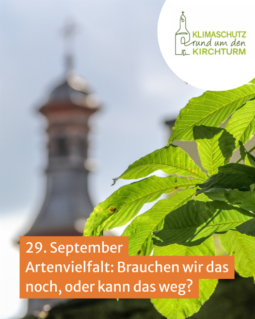 Biodiversität-Bild