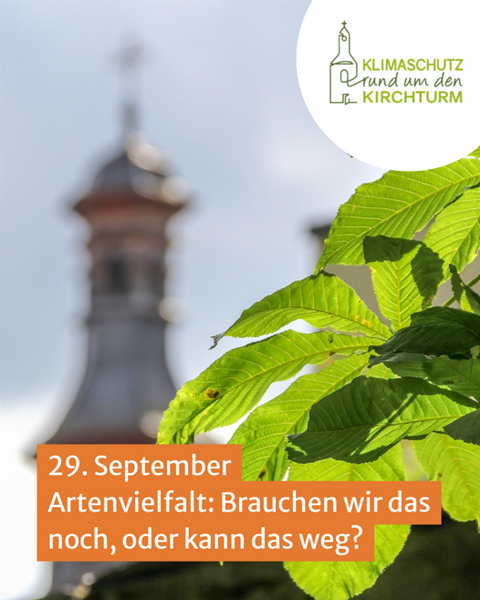 Biodiversität-Bild