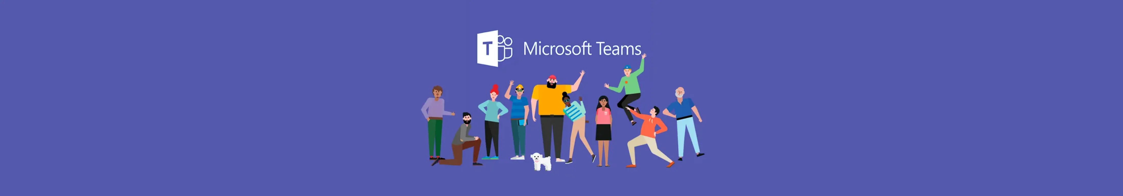 MS Teams Visual