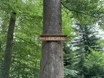 Wandertour Landesbischöfin 2024 - Wertheim