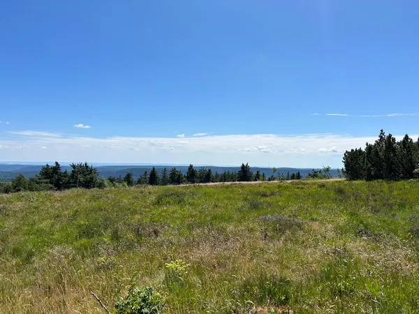 Blick in die Ferne über den Schwarzwald